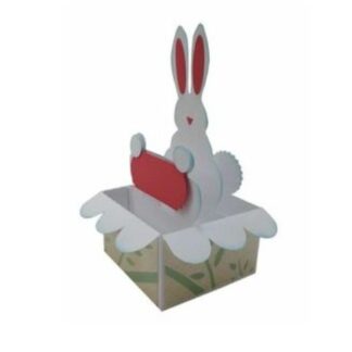 Easter Bunny Pop Up Card