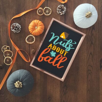 Nuts About Fall SVG - Image 3